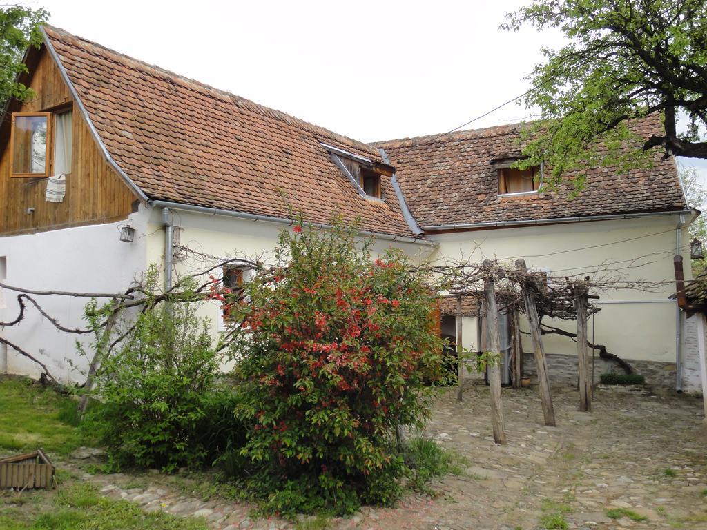 Gasthaus Dominic Boutique - Casa Mare Cloasterf Exterior foto