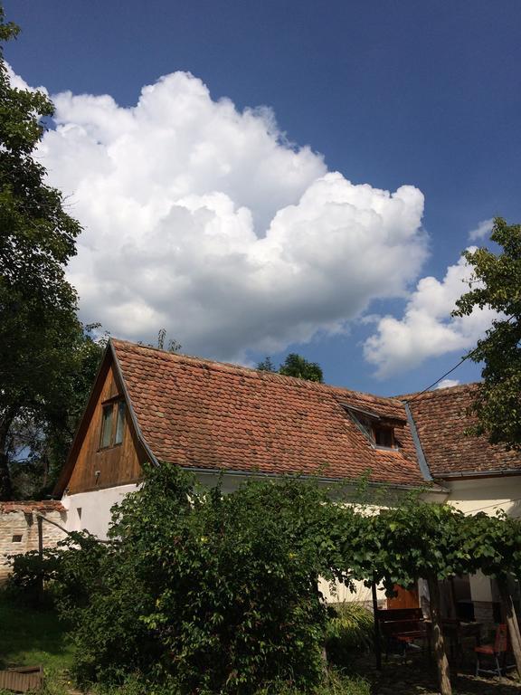 Gasthaus Dominic Boutique - Casa Mare Cloasterf Exterior foto